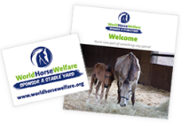 Preview of sponsor a stable brochure