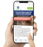 A mobile phone in the palm of a users hand whilst they browse the World Horse Welfare website